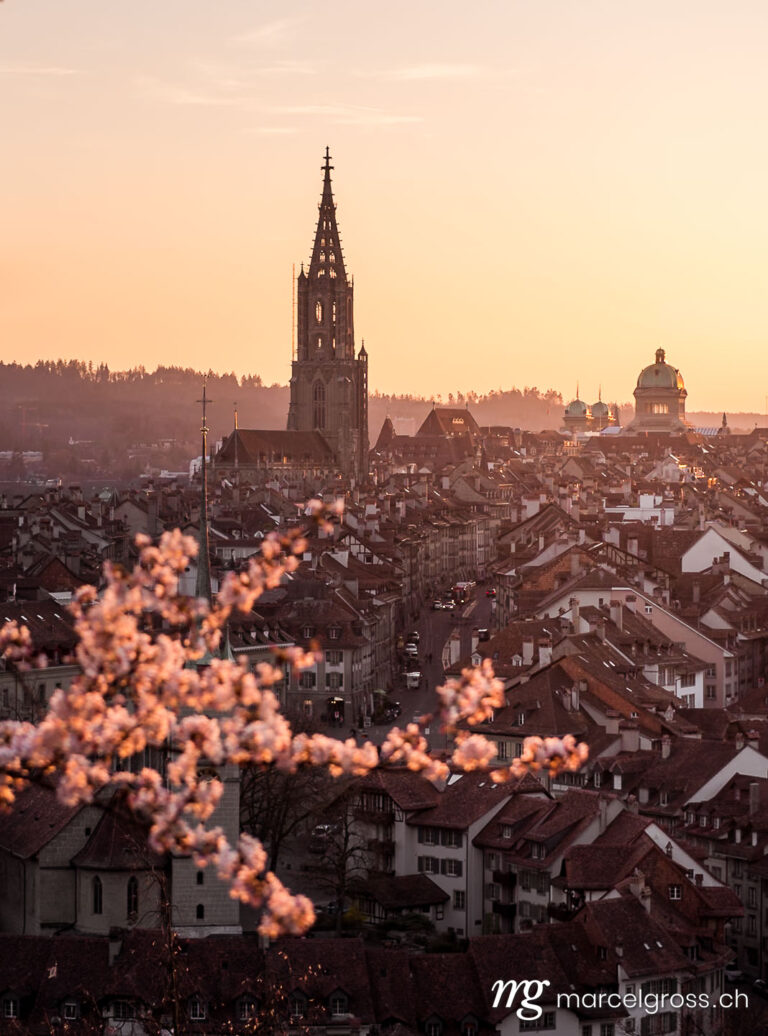 cherry blossom branch in spring in front of the oldtown of Bern. Taken by Marcel Gross Photography