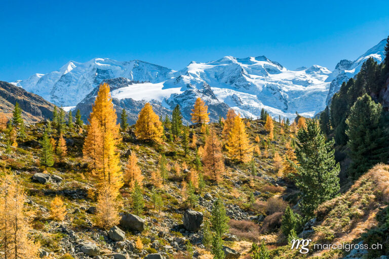 autumn views of the Bernina Region
