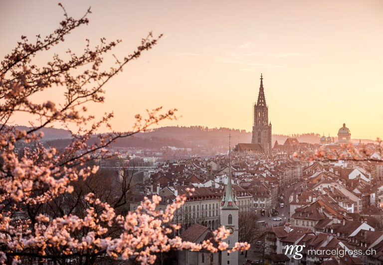 cherry blossom in front of the oldtown of Bern. Taken by Marcel Gross Photography