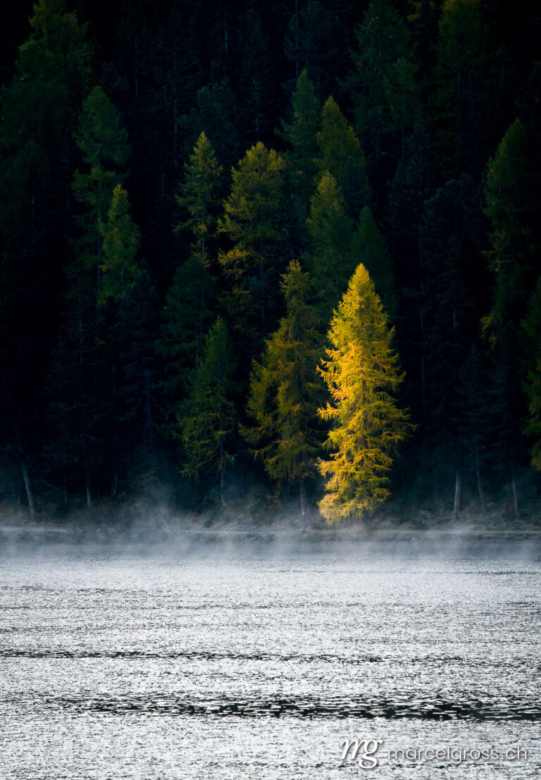 autumn morning mist over Lake St. Moritz. Taken by Marcel Gross Photography