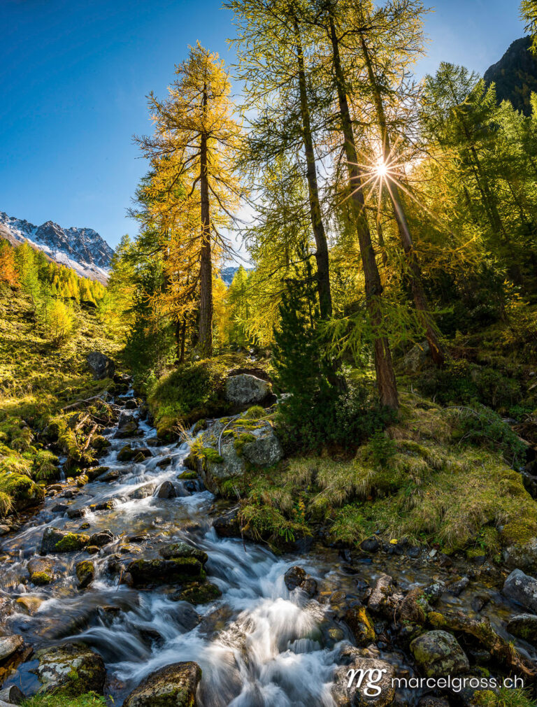 Switzerland pictures. wonderful mountain creek in Val Zeznina with yellow larches and Piz Macun. Taken by Marcel Gross Photography