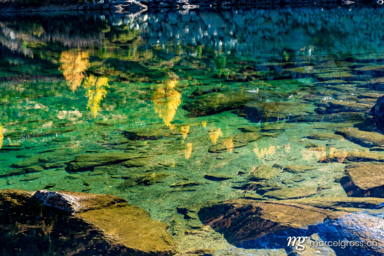 reflection of yellow larches in the turquoise water
