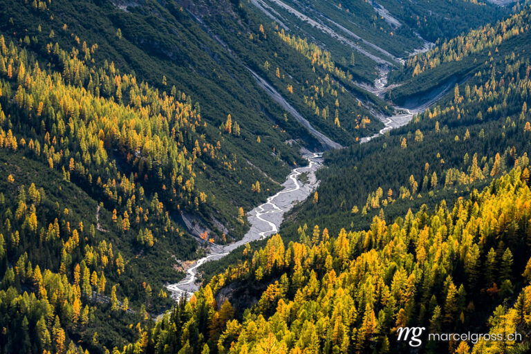 wild, untamed river and larches in Val Cluozza in Swiss National Park. Taken by Marcel Gross Photography
