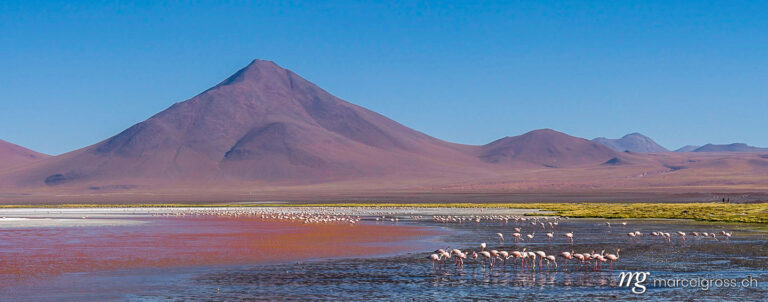 . Colors of the Altiplano. Marcel Gross Photography
