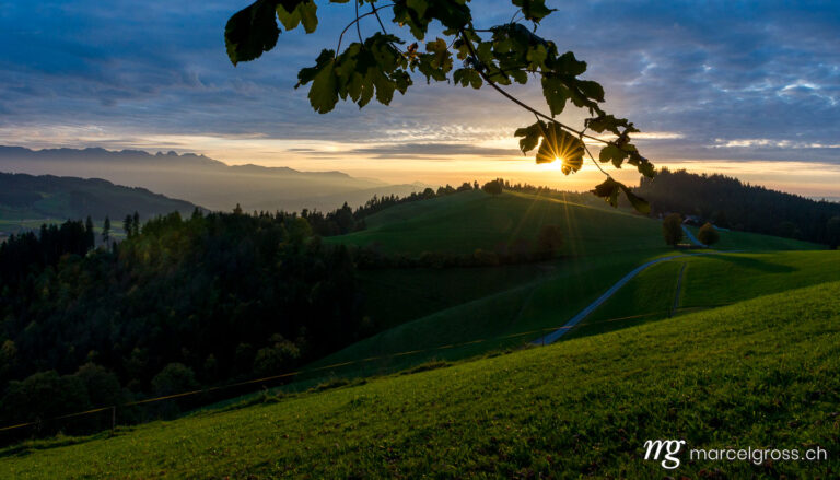 . Branch in front of the sun, sunset mood over the Emmental and the foothills of the Alps, Aebersold, Switzerland. Marcel Gross Photography