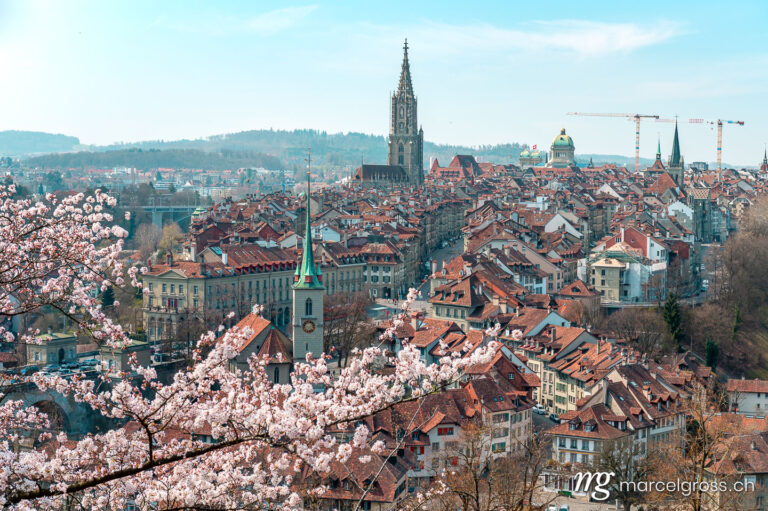 Bern Bilder. Frühlingsmorgen in Bern mit Berner Münster und Altstadt. Marcel Gross Photography