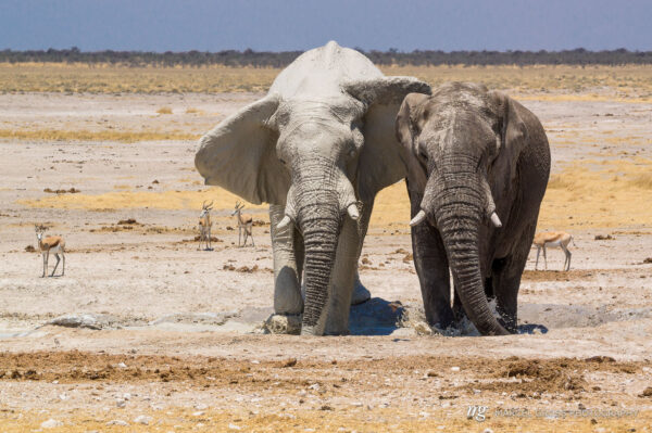 Namibia Bilder. Taken by Marcel Gross Photography