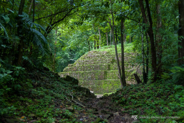 Mexiko Bilder. Tunnel View of the Ruins of Yaxchilan. Taken by Marcel Gross Photography