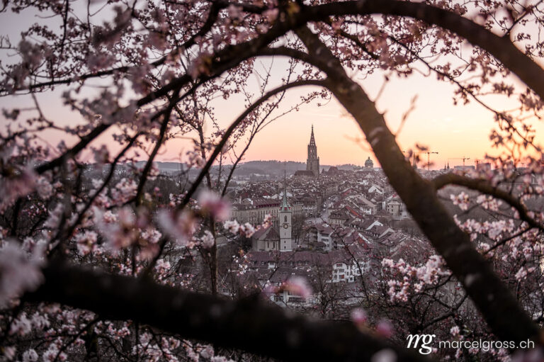 Bern pictures. Cherry blossom in front of the old town of Bern. Marcel Gross Photography