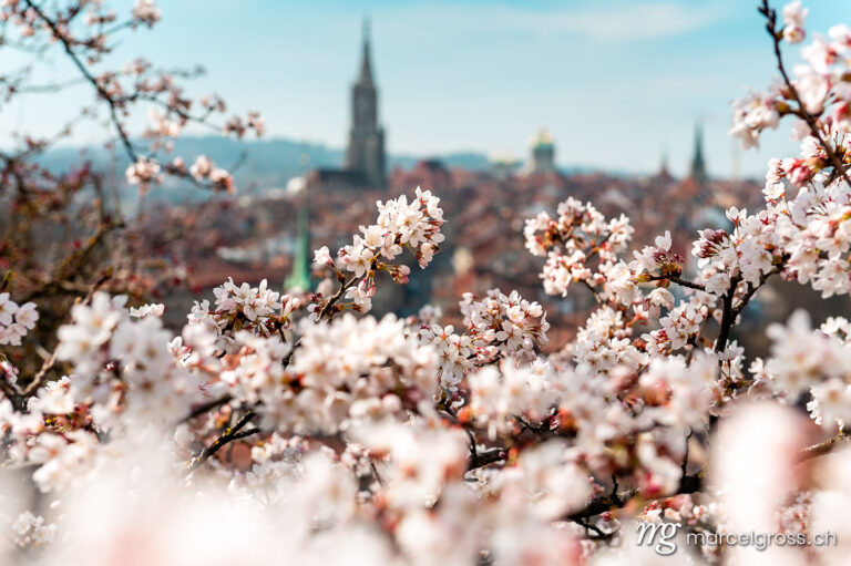 Bern pictures. Spring morning in Bern with Bern Minster and old town. Marcel Gross Photography