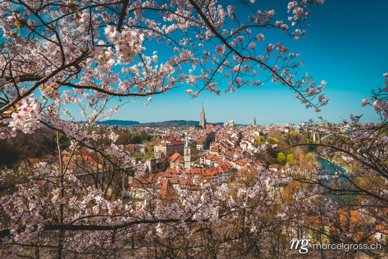 Bern Bilder. Kirschblüte über der Stadt Bern, Schweiz. Marcel Gross Photography