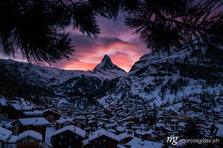 . the alpine village of Zermatt in front of the Matterhorn at a wonderful sunset in the Alps of Switzerland. Framed by the branch of a fir tree. Marcel Gross Photography