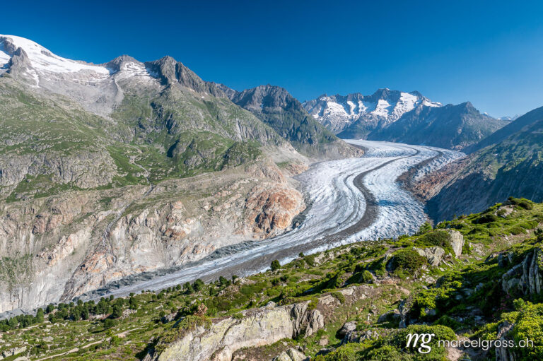 . view over the mighty Aletsch Glacier in Switzerland. Marcel Gross Photography