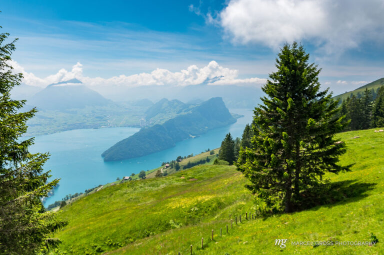 View from Vitznau Hinterbergen to Lake Lucerne. Taken by Marcel Gross Photography