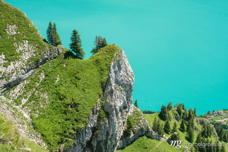 . view on turquoise colored Lake Brienz. Marcel Gross Photography