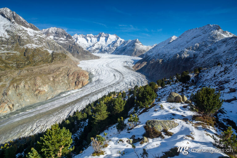 . majestic Aletsch Glacier in first snow in autumn. Marcel Gross Photography