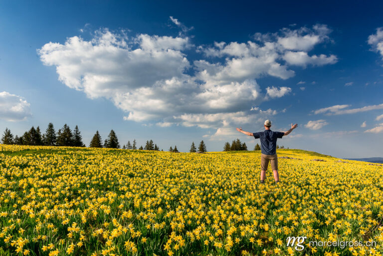 Frühlingsbilder Schweiz. man with outstreched arms in a field full of yellow flowers. Marcel Gross Photography