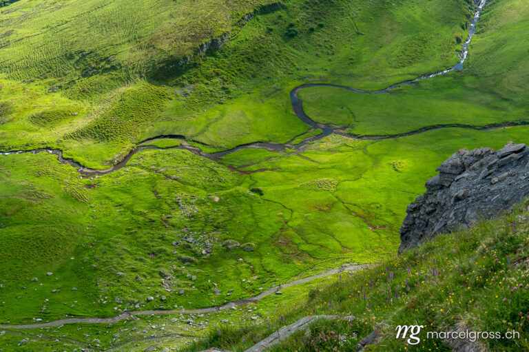 . a meandering free-flowing mountain creek in Grindelwald. Marcel Gross Photography