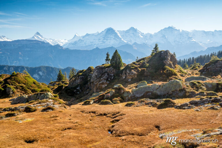 . alpine Moorlandschaft mit Berner Alpen. Marcel Gross Photography