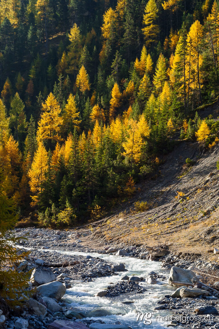 Fall in Engadina. Taken by Marcel Gross Photography