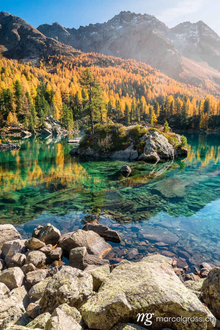 Herbstbild Schweiz. Gelbe Lärchen am Lago di Saoseo, Puschlav, Schweiz. Marcel Gross Photography