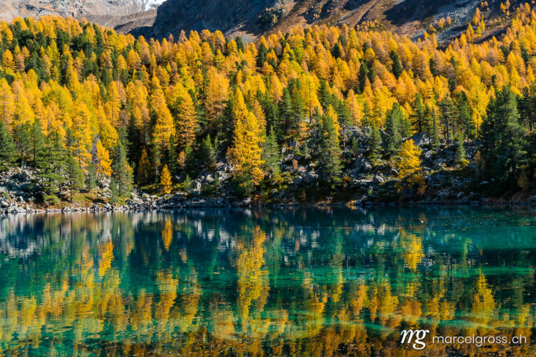 Herbstbild Schweiz. Herbstliche Spiegelung im Lago di Saoseo, Puschlav, Schweiz. Marcel Gross Photography