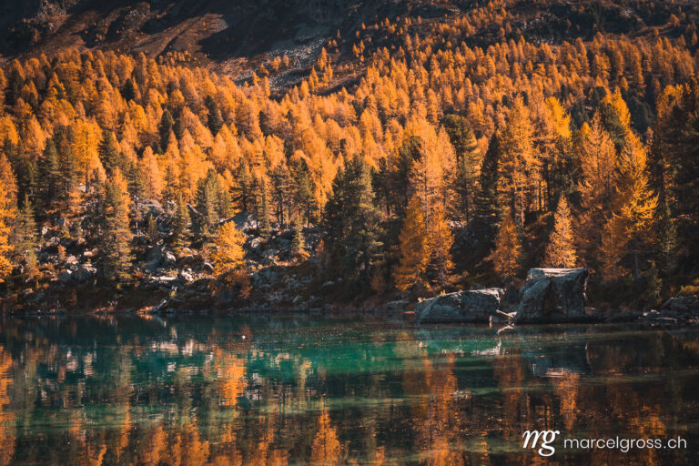 . Herbstliche Spiegelung im Lago di Saoseo, Puschlav, Schweiz. Marcel Gross Photography