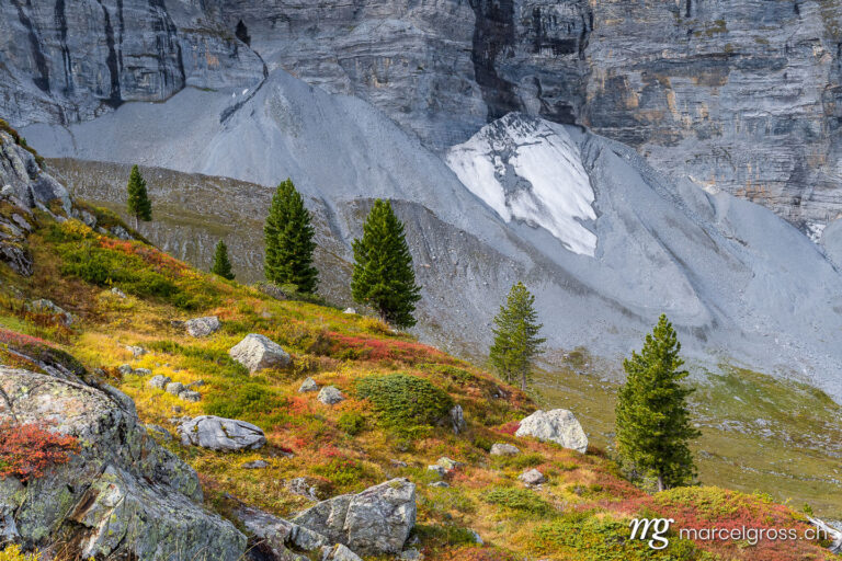 . high alpine meadow in autumn. Marcel Gross Photography