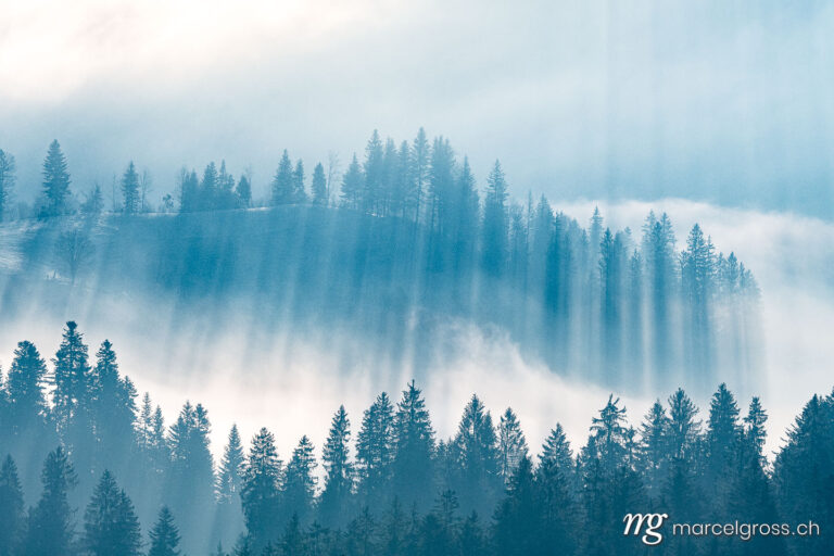 . mystic light in the Emmental forest in winter. Marcel Gross Photography