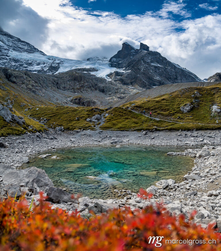 . Oberhornsee im hinteren Lauterbrunnental mit Gletscher und rotem Busch. Marcel Gross Photography