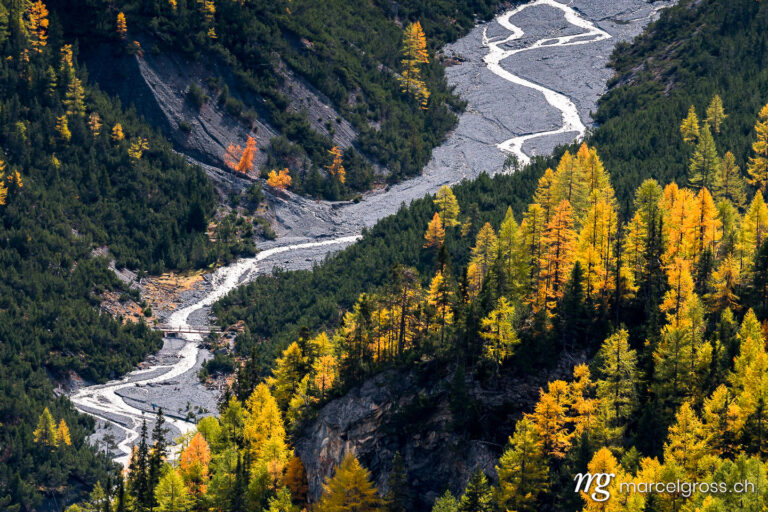 . wild, untamed river and larches in Val Cluozza in Swiss National Park. Marcel Gross Photography
