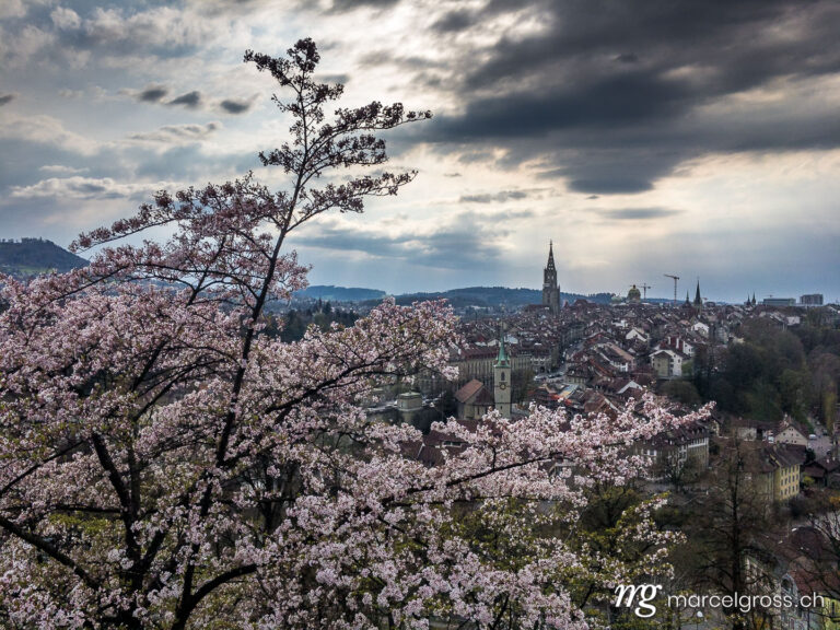 Bern pictures. a spring evening in Bern. Marcel Gross Photography