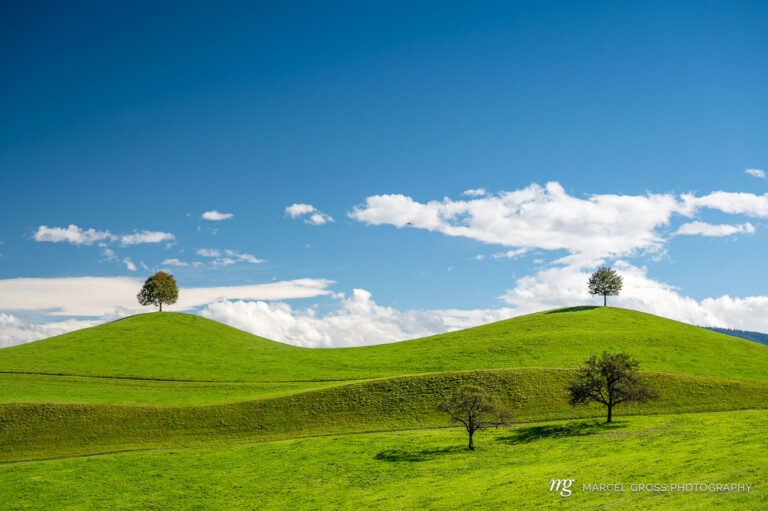 green hills with trees on top against blue sky. Taken by Marcel Gross Photography