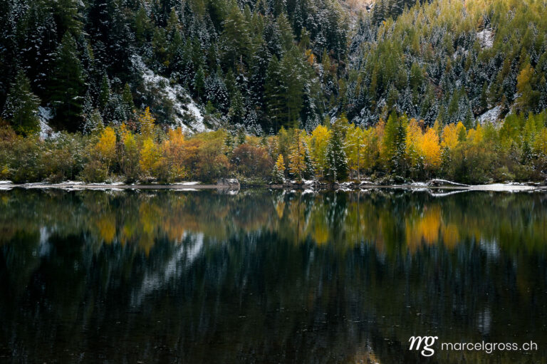 . reflection of autumn forest at Lac de Derborence in Valais. Marcel Gross Photography
