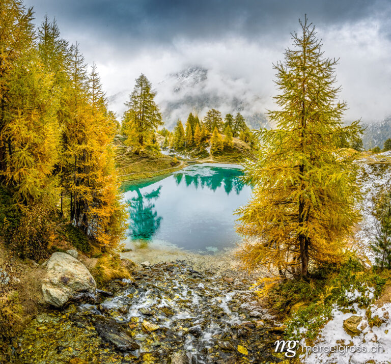 Autumn picture Switzerland. Yellow larches in autumn at Lac Bleu near Arolla in Valais. Marcel Gross Photography