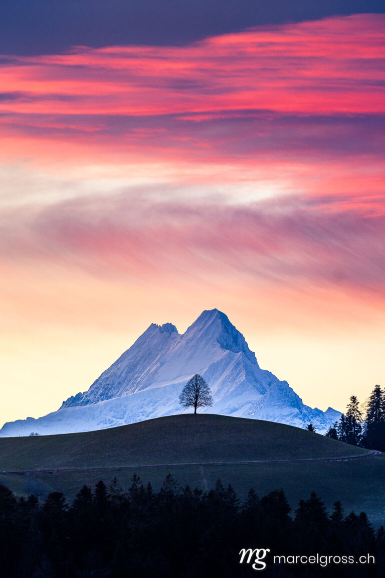 Winterbild Schweiz. colorful morning sunrise in Emmental with a single tree on a hill in Emmental in front of Schreckhorn. Marcel Gross Photography