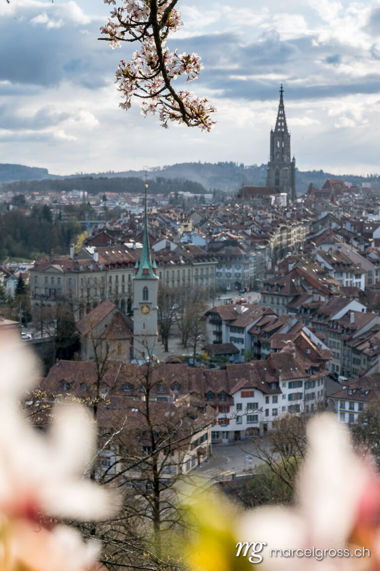 Bern pictures. Cherry blossom branch in front of the old town of Bern. Marcel Gross Photography