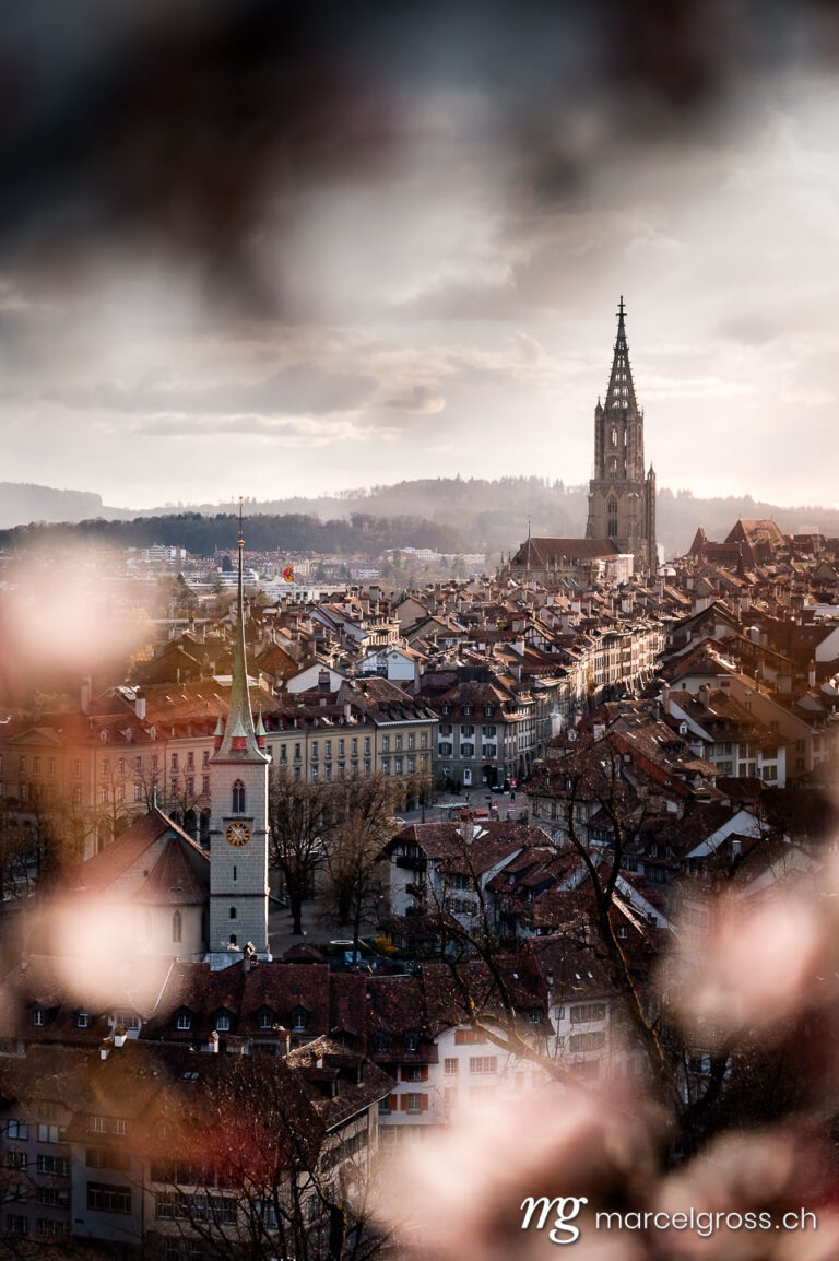 Bern pictures. cherry blossom in Berne. Marcel Gross Photography