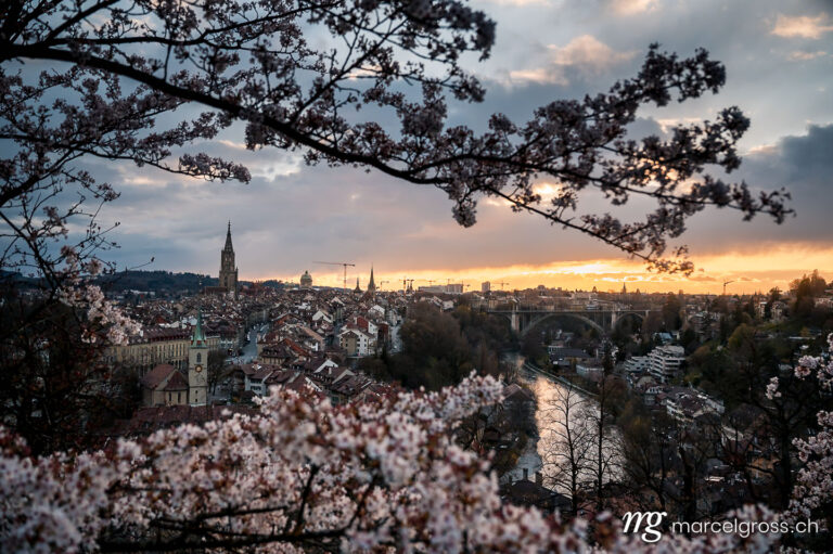 Bern Bilder. cherry blossom in Berne. Marcel Gross Photography