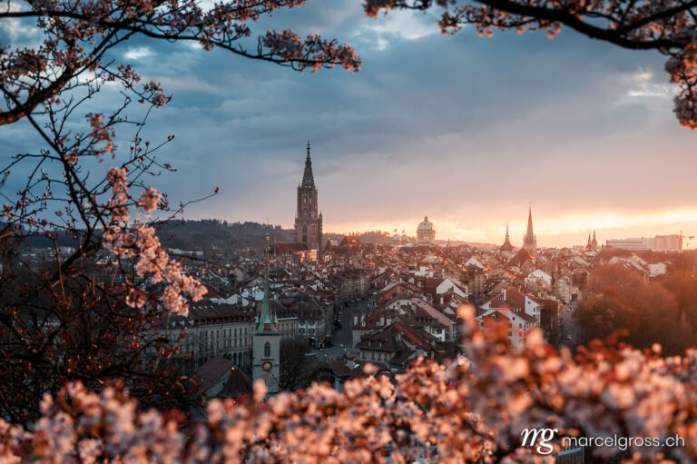 Bern pictures. cherry blossom in Berne with Berner Munster and oldtown. Marcel Gross Photography