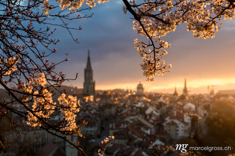 Bern Bilder. dramatic sunset over the oldtown of Bern in spring during cherry blossom. Marcel Gross Photography