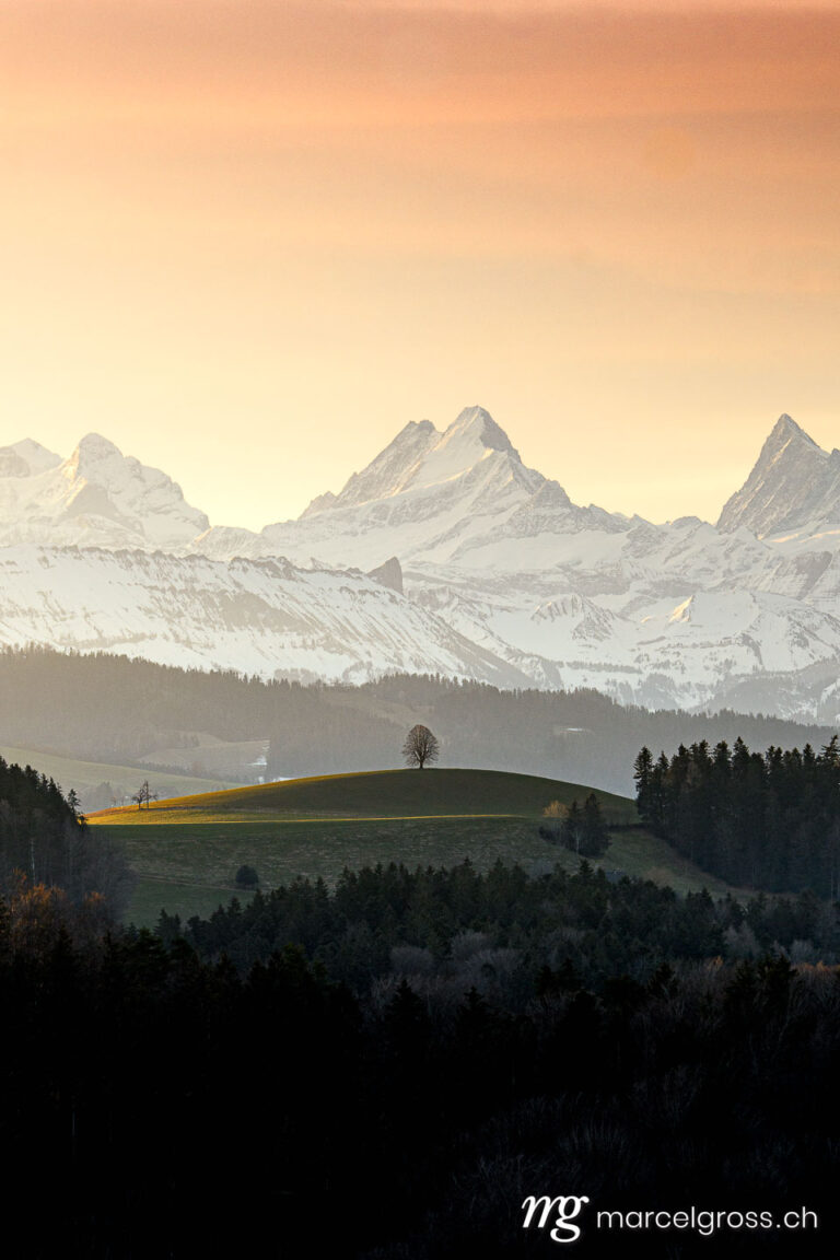 . golden light in the hills of Emmental Valley with Schreckhorn as a backdrop. Marcel Gross Photography