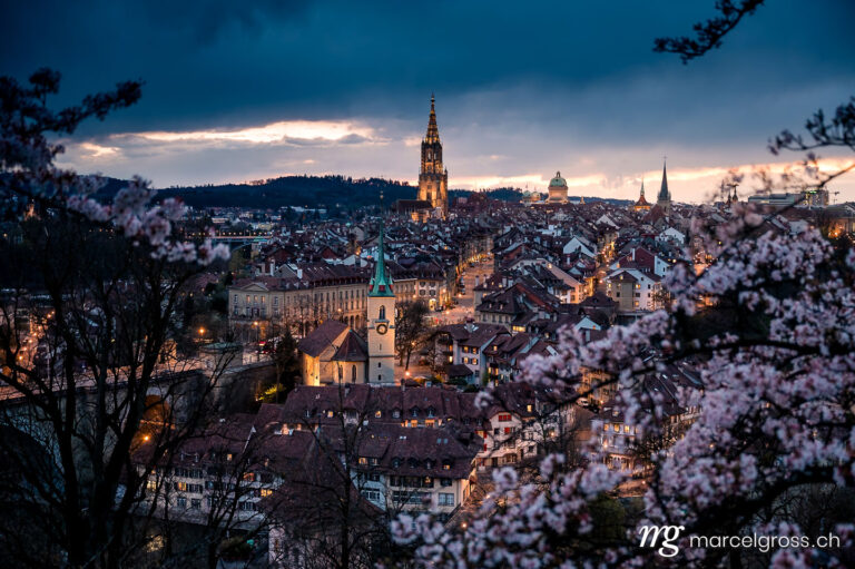 Bern pictures. Skyline of Berne during Cherry blossom at blue hour in spring. Marcel Gross Photography