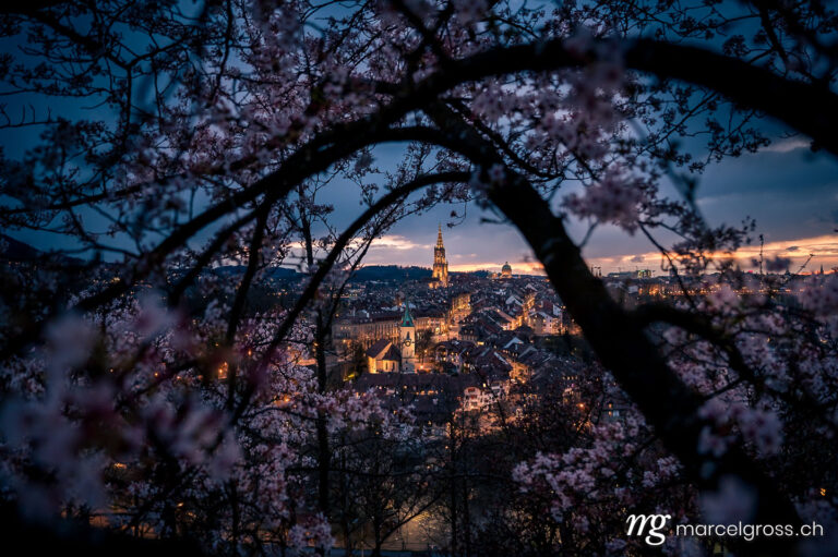 Bern Bilder. skyline of Berne during Cherry blossom at blue hour in spring. Marcel Gross Photography