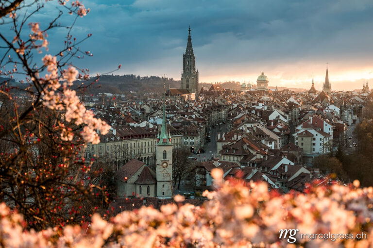 Bern Bilder. sunset durign cherry blossom in Bern seen from Rosengarten. Marcel Gross Photography