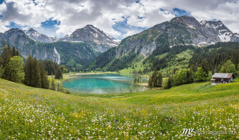 . idyllic Lake Lauenensee with Wildhorn in spring, Bernese Alps, Switzerland. Marcel Gross Photography