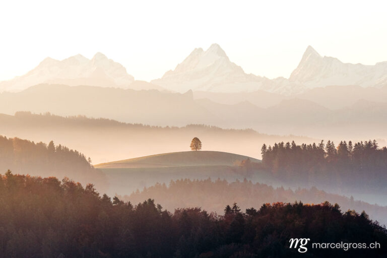 Herbstbild Schweiz. mystischer Sonnenaufgang mit. Marcel Gross Photography