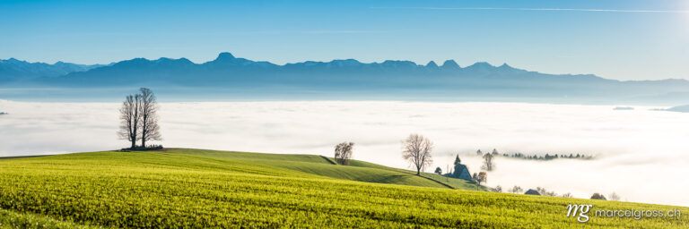 panorama view from Ballenbühl above autumn sea of fog in Emmental. Taken by Marcel Gross Photography