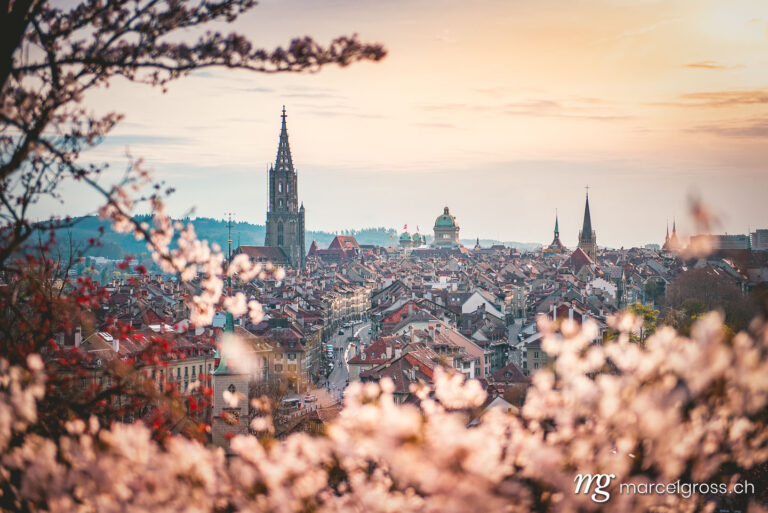 Bern Bilder. Abendstimmung über Berner Altstadt während der Kirschblüte. Marcel Gross Photography