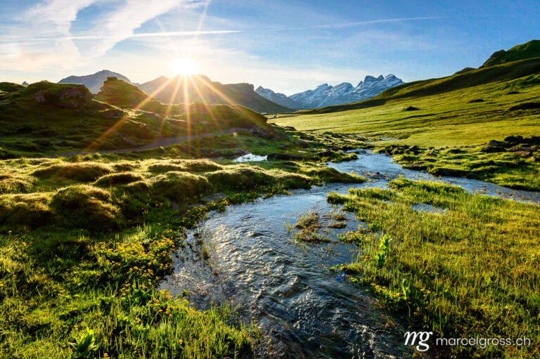 Summer pictures Switzerland. Alpine creek at sunrise with peak of Titlis near Melchseefrutt in the swiss alps. Marcel Gross Photography
